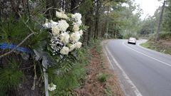 Flores depositadas en el lugar en el que en septiembre del 2013 apareci el cadver de la vecina de Cabanas Elisa Abruedo