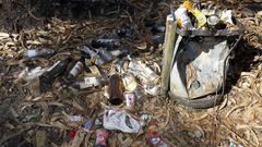 Uno de los cubos de basura, repleto de botellas de alcohol