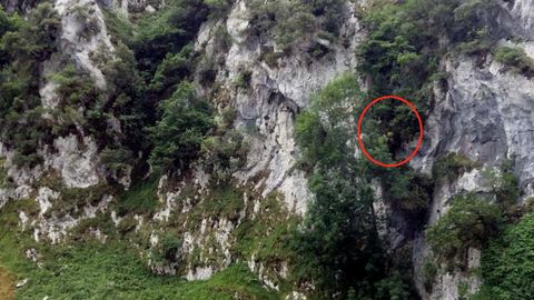 Rescate del SEPA en la ruta del Cares