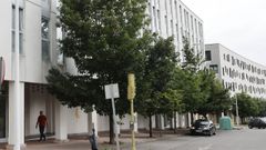 Los vecinos demandan la poda de los �rboles situados frente a sus viviendas.