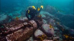 �Buscadores de Naufraxios�, en el pr�ximo cap�tulo