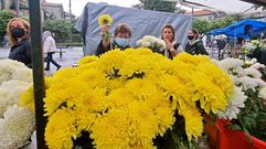 Mercado de las flores de difuntos en la Ferrera
