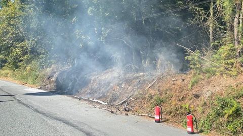 Ardieron apenas 70 metros cuadrados de zona de monte, con arboleda y mucha vegetacin seca