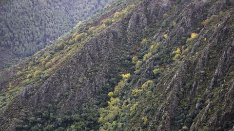 La luz y los colores ocre dan otro aspecto distinto al habitual a la zona de A Abeleda