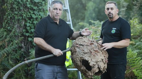 Abelardo Cano, andaluz especialista en plagas, y Jos Mara Vzquez, con un nido de velutina