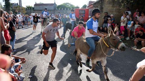 Las im�genes de la carrera de burras de San Roque do Monte