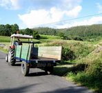 Los terrenos en los que se instalar� la nueva depuradora. 