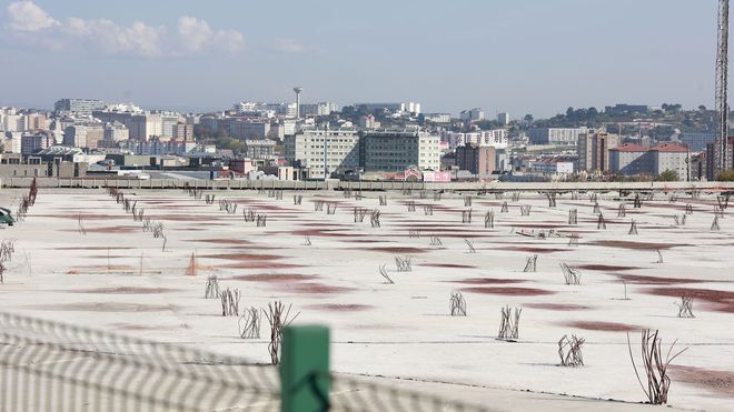 Las obras de construccin del nuevo Breogn Park comenzarn tras la conclusin de la fase de demolicin del antiguo Dolce Vita en A Grela