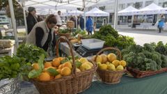 Ames incluye en su feria una zona como mercado de productos de proximidad que podr� tener su espacio en la futura plaza de abastos