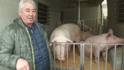 Feira do Porco da Ceba en Cospeito
