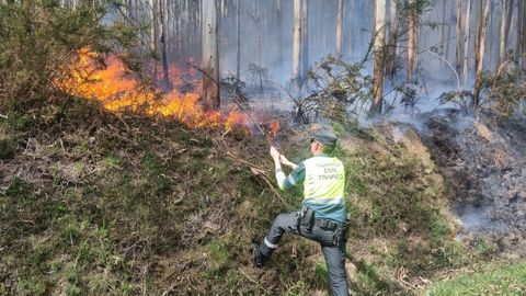 Un agente de la Guardia Civil, en las labores para contener el fuego