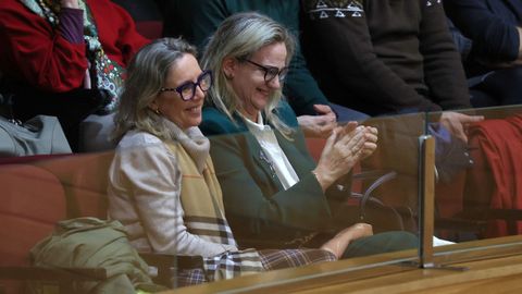 Fern�ndez Gali�o (derecha), en el pleno.