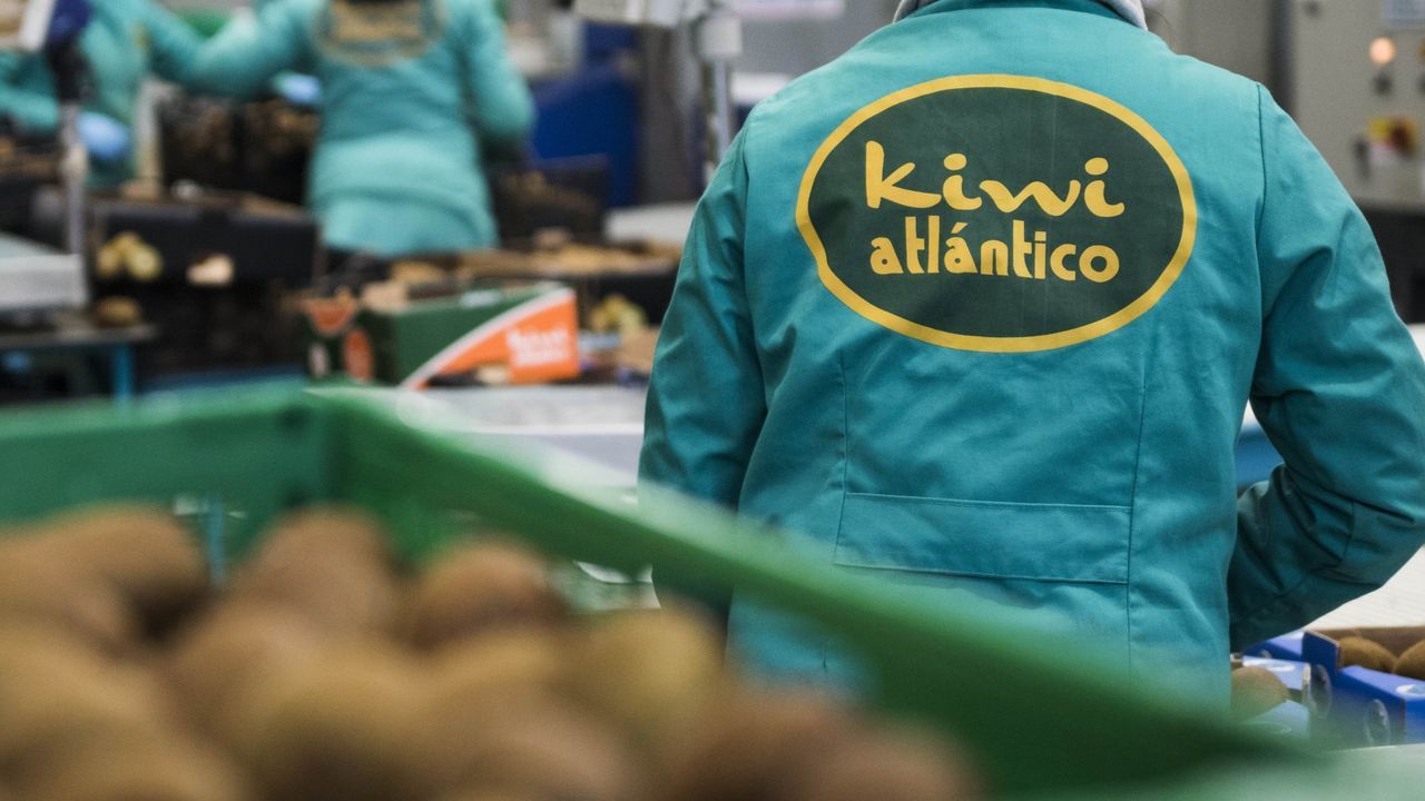 Kiwi Atlántico compra a Vigo Activo la participación del 40 % que mantenía en su capital