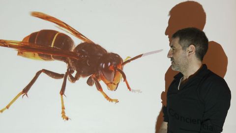 O bilogo Rodrguez Lado presentou a sa plataforma nun encontro do Consello da Cultura. 