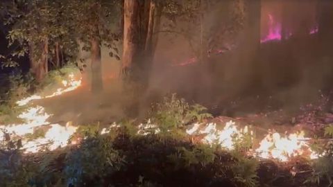 Incendio forestal en Ortigueira