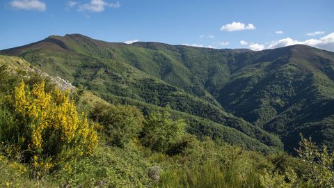 El bosque autctono de la Devesa da Rogueira es uno de los lugares que se podrn visitar en estas rutas