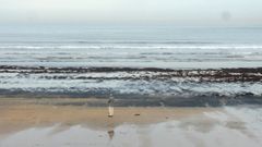 El carb�n vuelve�a la playa de San Lorenzo