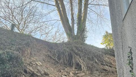 El �rbol se qued� con las ra�ces al aire por los arrastres de tierra provocados por las lluvias del fin de semana