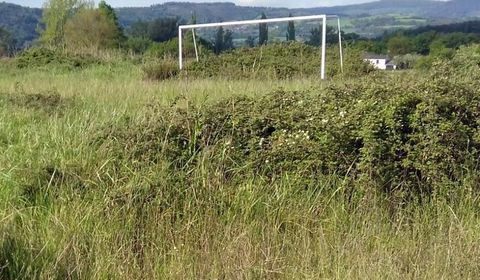 El campo de Armea se encuentra en un pésimo estado.