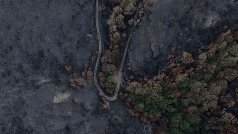 Vista a�rea de un monte quemado en Vilamart�n de Valdeorras