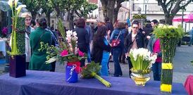 Cuntis celebra hoxe unha gran festa das flores e das letras con m�ltiples actividades<span lang= es-es >. </span>