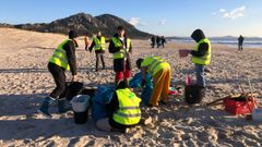 Limpieza de bolitas de pl�stico en Area Maior, en Muros