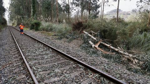 Tren de mercanc�as accidentado en Cambre