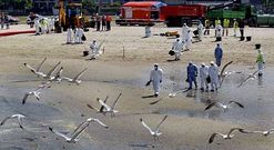 Hasta un centenar de personas participaron en un simulacro que trataba de evitar la llegada de fuel a Carril y Cortegada. 