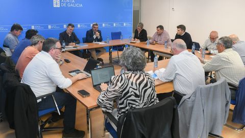 Dirigentes de la Consellera do Mar, de organizaciones de productores y de cofradas de pescadores decidiendo en Santiago crear un grupo de trabajo para intentar mejorar la situacin de la flota del cerco
