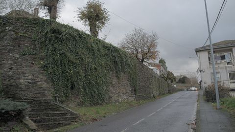 La limpieza de la antigua muralla ser una de las actuaciones en espacios pblicos dentro del plan. 