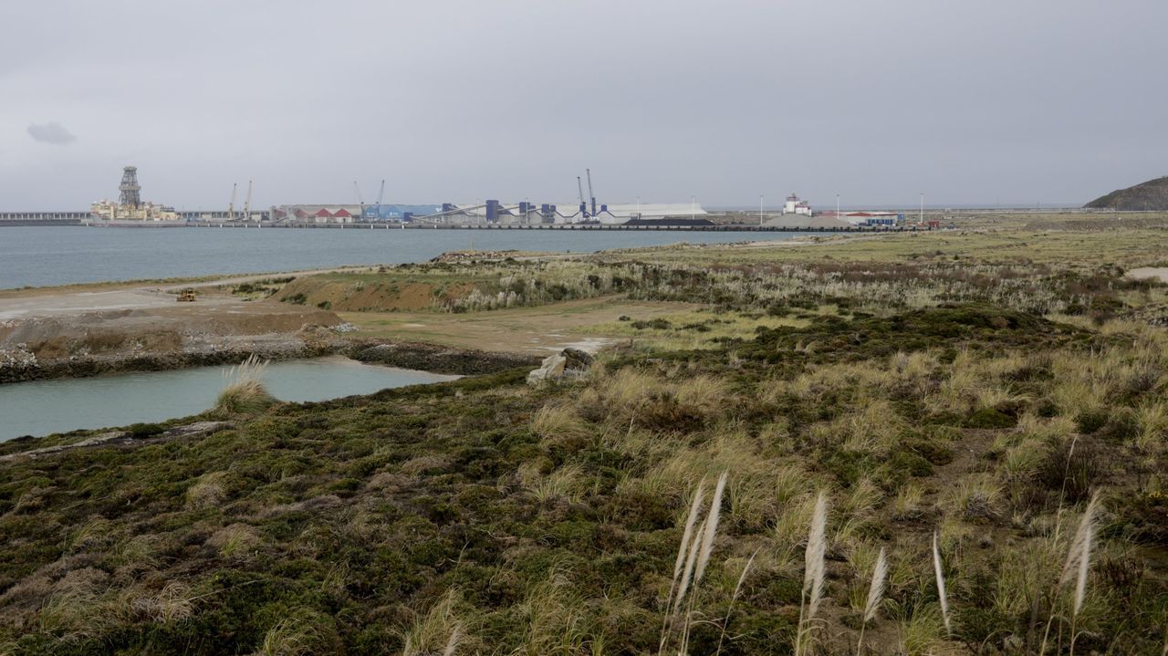 Los puertos de A Coruña y Ferrol logran 100 millones de euros para el desarrollo de la eólica marina