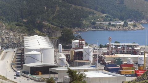 En la fotograf�a, una vista parcial del puerto exterior de Ferrol. 