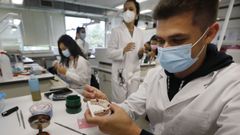 Imagen de una clase en el IES Manuel Antonio, el mayor centro de FP de Vigo, el pasado curso