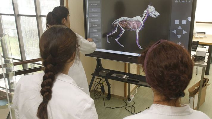 La investigaci�n est� presente en la Facultade de Veterinaria de Lugo, en donde tambi�n hay espacio para que los alumnos reciban una formaci�n con una clara presencia de las pr�cticas (en la imagen, el aula de habilidades cl�nicas)