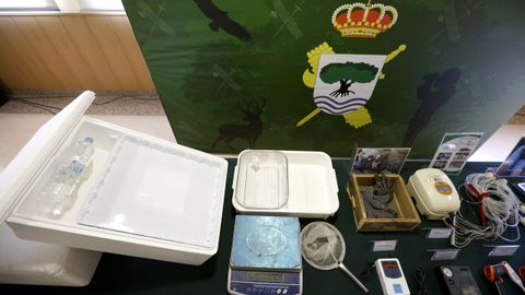 Responsables de la Guardia Civil, de la Europol y de las polic�as francesa y portuguesa presentan en San Sebasti�n los resultados de una operaci�n internacional contra el tr�fico de angulas