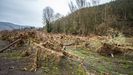 As� quedaron los terrenos de cultivo del kiwi en el Bajo Nal�n por el temporal de lluvia