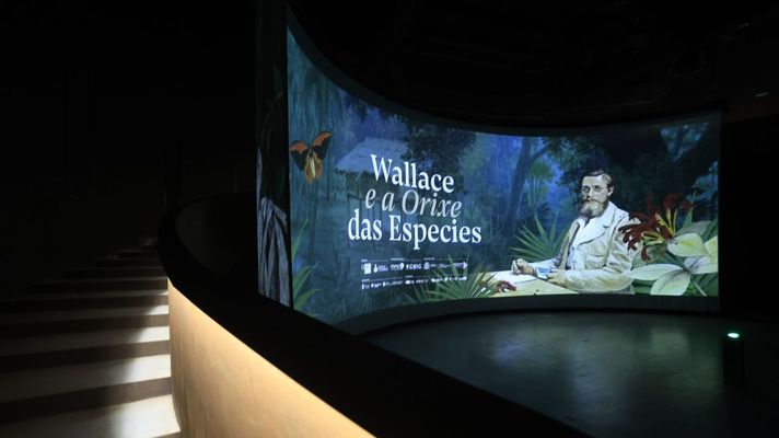 Exposici�n de Alfred Russel Wallace en Lugo