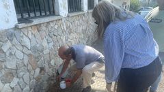 Un vecino de Tineo recoge gusanos ante la directora general de Ganader�a y Sanidad Animal, Roc�o Huerta