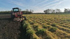 Trabajos de preparaci�n de la tierra en A Limia para la plantaci�n de patatas
