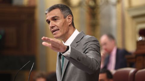 S�nchez, en su comparecencia en el Congreso