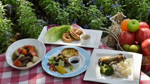 Platos sanos para comer al aire libre