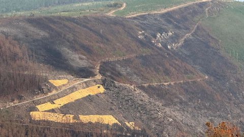 Barreras que est� ejecutando la Conseller�a de Medio Ambiente en las zonas afectadas por los incendios en Sober, en la ladera que baja a los r�os Cabe y Sil