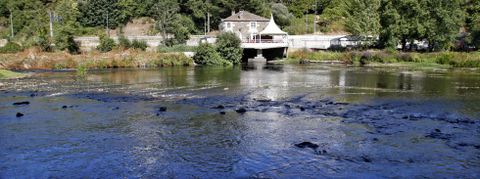 Este era el aspecto que presentaba el cauce del Mi�o ayer por la tarde en la zona de O Mu��o; el r�o se pod�a atravesar perfectamente caminando. 