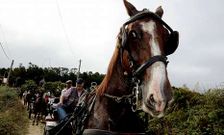 La comitiva parti� de B�rtoa y pas� por Razo antes de regresar al casco urbano.