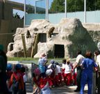 Una visita escolar al zool�gico de A Madroa