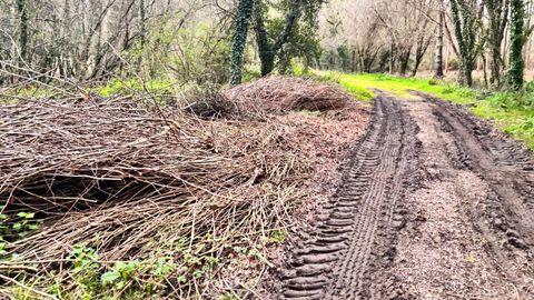 Los restos que, seg�n traslada el PSOE de Coristanco, est�n depositados en un camino p�blico de A Agualada
