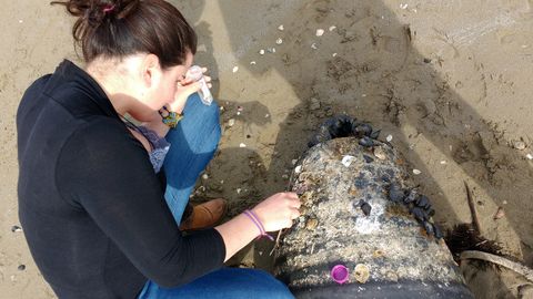 La investigadora de la Universidad de Oviedo Sabine Rech, en una playa
