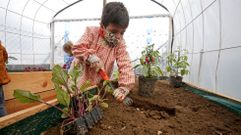 Voz Natura en el colegio Torre-Cela de Bueu