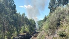 Incendio pr�ximo a las v�as de tren este lunes en Bobor�s