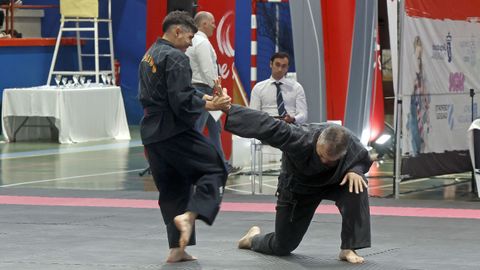 Campeonato gallego de hapkido en el Pabell�n de Barra�a